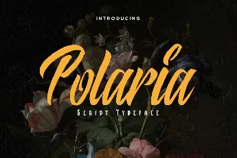 Polaria font