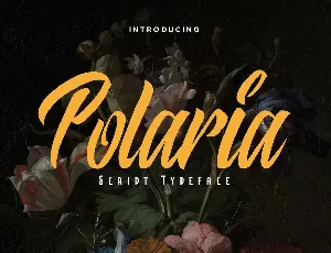 Polaria font