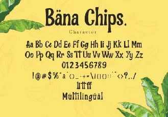 Bana Chips Display font