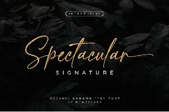 Spectacular font