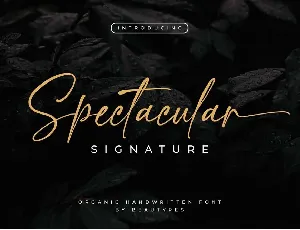 Spectacular font