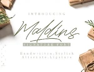 Maldins – Stylish Signature font