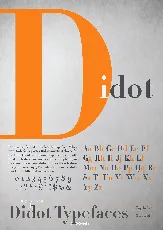 Didot font