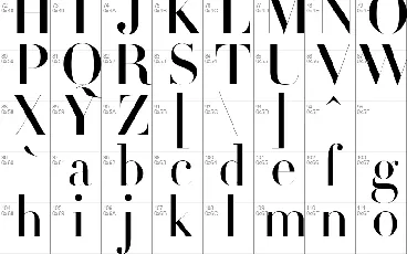 Didot font