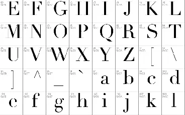 Didot font