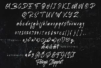 Butter Dash font