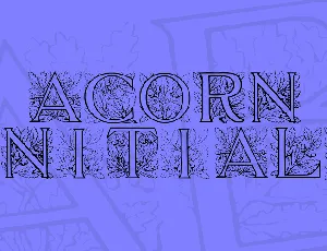 Acorn Initials font