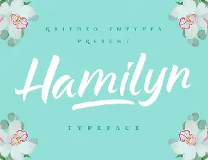 Hamilyn font