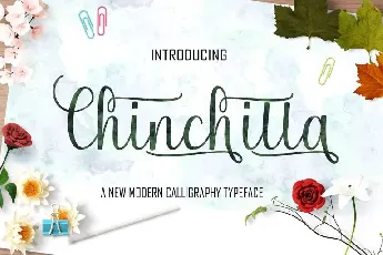 Chinchilla Script font