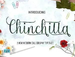 Chinchilla Script font