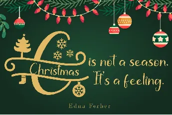Stunning Christmas Monogram font