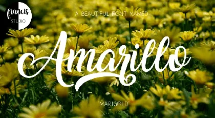 Amarillo Free font