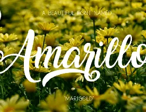 Amarillo Free font