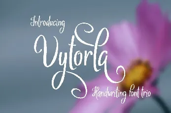 Vytorla Mix font