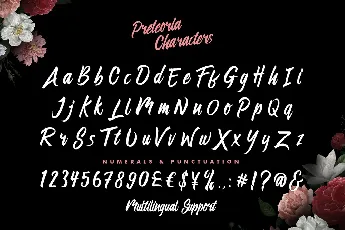 Preteoria font