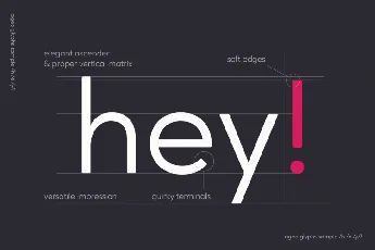 Ageo Geometric Sans Family font