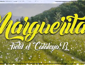 Margueritas font