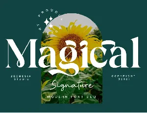 Magical Signature font