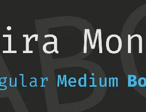 Fira Mono font