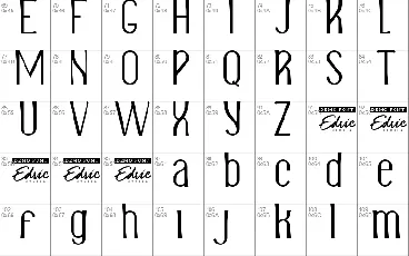 SalvaRollaDemo font