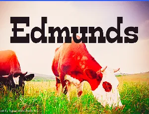 Edmunds font