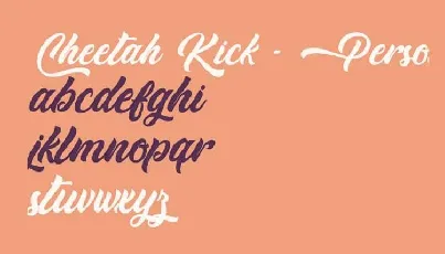 Cheetah Kick Script Free font