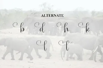 Elephant Calligraphy font