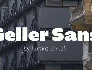 Geller Sans font