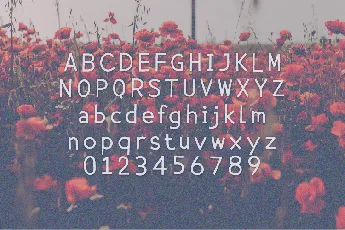 Behavioral font