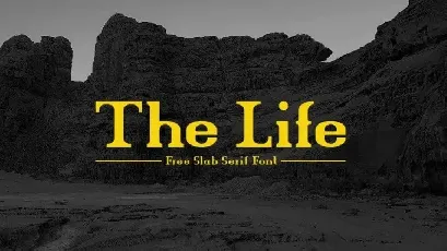 The Life Serif font