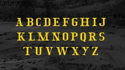 The Life Serif font