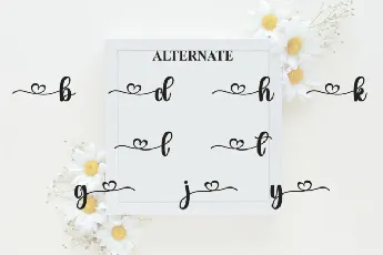 Daisy Calligraphy font