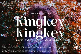 Kingkey Demo font