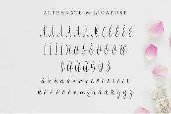 Rasida font