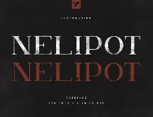 NelipotVP Demo font