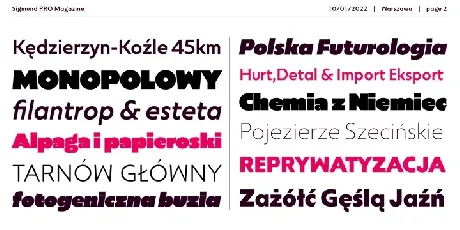 Sigmund PRO Family font