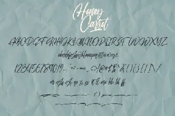 Honey Carrot Handwritten font