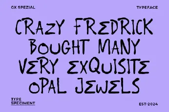 Groovy Spezial Display font