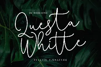 Questa Whitte Signature font