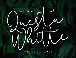 Questa Whitte Signature font