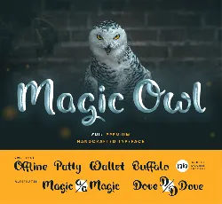 Magic Owl font