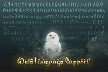 Magic Owl font