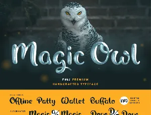 Magic Owl font