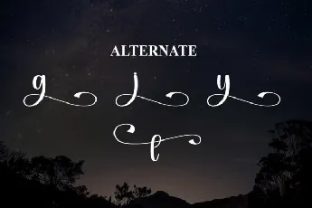 Nightday Script font