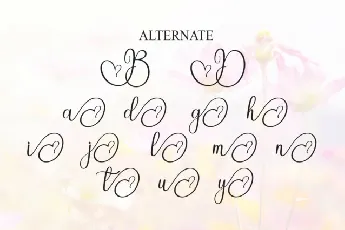 Beautiful Calligraphy font