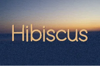 Hibiscus font