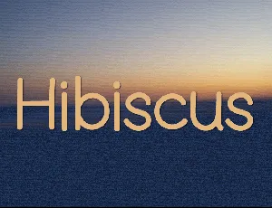 Hibiscus font