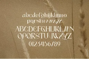 Palmer Sorjan font