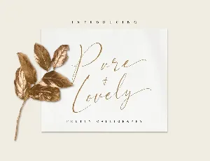 Pure & Lovely font