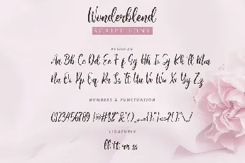 Wonderblend Calligraphy font